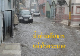 <strong>อ่านเพิ่มเติมเกี่ยวกับ</strong><br>น้ำท่วมต้นธารแห่งโรคระบาด น้ำท่วมต้นธารแห่งโรคระบาด