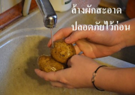 <strong>อ่านเพิ่มเติมเกี่ยวกับ</strong><br>ล้างผักสะอาดปลอดภัยไว้ก่อน ล้างผักสะอาดปลอดภัยไว้ก่อน