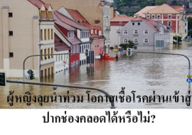 <strong>อ่านเพิ่มเติมเกี่ยวกับ</strong><br>ผู้หญิงลุยน้ำท่วม โอกาสเชื้อโรคผ่านเข้าสู่ปากช่องคลอดได้หรือไม่? ผู้หญิงลุยน้ำท่วม โอกาสเชื้อโรคผ่านเข้าสู่ปากช่องคลอดได้หรือไม่?