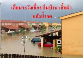 <strong>อ่านเพิ่มเติมเกี่ยวกับ</strong><br>เตือนระวังเชื้อราในบ้าน-เสื้อผ้า หลังน้ำลด เตือนระวังเชื้อราในบ้าน-เสื้อผ้า หลังน้ำลด