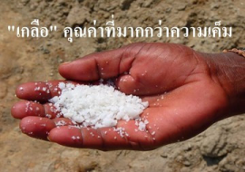<strong>อ่านเพิ่มเติมเกี่ยวกับ</strong><br>"เกลือ"  คุณค่าที่มากกว่าความเค็ม "เกลือ"  คุณค่าที่มากกว่าความเค็ม
