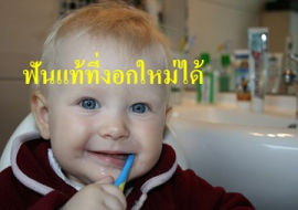<strong>อ่านเพิ่มเติมเกี่ยวกับ</strong><br>ฟันแท้ที่งอกใหม่ได้ ฟันแท้ที่งอกใหม่ได้