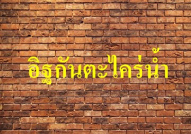 <strong>อ่านเพิ่มเติมเกี่ยวกับ</strong><br>อิฐกันตะไคร่น้ำ อิฐกันตะไคร่น้ำ