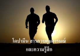 <strong>อ่านเพิ่มเติมเกี่ยวกับ</strong><br>โดปามีน สารควบคุมอารมณ์และความรู้สึก โดปามีน สารควบคุมอารมณ์และความรู้สึก