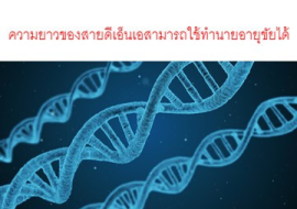 <strong>อ่านเพิ่มเติมเกี่ยวกับ</strong><br>ความยาวของสายดีเอ็นเอสามารถใช้ทำนายอายุขัยได้ ความยาวของสายดีเอ็นเอสามารถใช้ทำนายอายุขัยได้