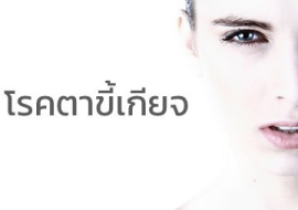 <strong>อ่านเพิ่มเติมเกี่ยวกับ</strong><br>โรคตาขี้เกียจ โรคตาขี้เกียจ