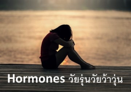 <strong>อ่านเพิ่มเติมเกี่ยวกับ</strong><br>Hormones วัยรุ่นวัยว้าวุ่น Hormones วัยรุ่นวัยว้าวุ่น