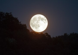 <strong>อ่านเพิ่มเติมเกี่ยวกับ</strong><br>Supermoon จันทร์ใกล้โลกในรอบปี !! Supermoon จันทร์ใกล้โลกในรอบปี !!