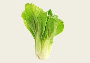 ความเป็นพิษและการสะสมของแคดเมียมในผักกวางตุ้ง (Brassica ...