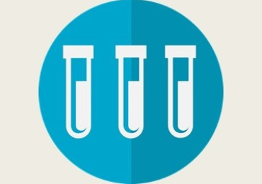 The simultaneous determination of Copper (II), Lead (II) ...