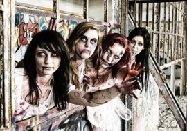 <strong>อ่านเพิ่มเติมเกี่ยวกับ</strong><br>ซอมบี้ !! เกิดขึ้นจริงได้หรือไม่ ? แล้ว เกิดจากอะไร ? ซอมบี้ !! เกิดขึ้นจริงได้หรือไม่ ? แล้ว เกิดจากอะไร ?