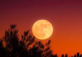 <strong>อ่านเพิ่มเติมเกี่ยวกับ</strong><br>Super Full moon ปรากฏการณ์ดวงจันทร์ใกล้โลก Super Full moon ปรากฏการณ์ดวงจันทร์ใกล้โลก