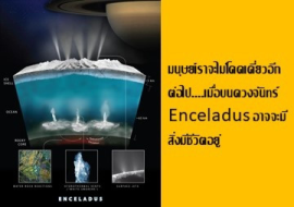 <strong>อ่านเพิ่มเติมเกี่ยวกับ</strong><br>มนุษย์เราจะไม่โดดเดี่ยวอีกต่อไป....เมื่อบนดวงจันทร์ Enceladus อาจจะมีสิ่งมีชีวิตอยู่ มนุษย์เราจะไม่โดดเดี่ยวอีกต่อไป....เมื่อบนดวงจันทร์ Enceladus อาจจะมีสิ่งมีชีวิตอยู่
