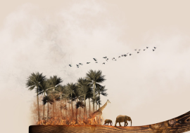 <strong>อ่านเพิ่มเติมเกี่ยวกับ</strong><br>ความหลากหลายทางชีวภาพกับการสถานการณ์ปัจจุบัน ความหลากหลายทางชีวภาพกับการสถานการณ์ปัจจุบัน