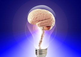 <strong>อ่านเพิ่มเติมเกี่ยวกับ</strong><br>คิดสร้างสรรค์กับการทำงานของสมอง คิดสร้างสรรค์กับการทำงานของสมอง