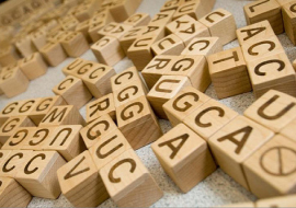 <strong>อ่านเพิ่มเติมเกี่ยวกับ</strong><br>ทำไมชีวิตจึงต้องการกรดอะมิโนมากมาย? ทำไมชีวิตจึงต้องการกรดอะมิโนมากมาย?