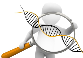 <strong>อ่านเพิ่มเติมเกี่ยวกับ</strong><br>มะเร็งถ่ายทอดทางพันธุกรรมจริงหรือ มะเร็งถ่ายทอดทางพันธุกรรมจริงหรือ