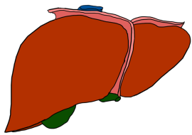 <strong>อ่านเพิ่มเติมเกี่ยวกับ</strong><br>ไขมันพอกตับ ป้องกันไว้ก่อนที่จะสาย ไขมันพอกตับ ป้องกันไว้ก่อนที่จะสาย