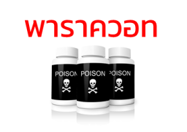 <strong>อ่านเพิ่มเติมเกี่ยวกับ</strong><br>พาราควอท สารเคมีอันตรายทางการเกษตร พาราควอท สารเคมีอันตรายทางการเกษตร