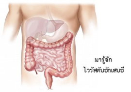 <strong>อ่านเพิ่มเติมเกี่ยวกับ</strong><br>มารู้จักไวรัสตับอักเสบอี มารู้จักไวรัสตับอักเสบอี