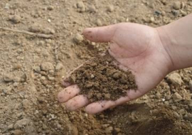 <strong>อ่านเพิ่มเติมเกี่ยวกับ</strong><br>ในดินมีอะไร? ในดินมีอะไร?