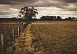 <strong>อ่านเพิ่มเติมเกี่ยวกับ</strong><br>สร้างรายได้เลี้ยงตนในพื้นที่ 1 ไร่ สร้างรายได้เลี้ยงตนในพื้นที่ 1 ไร่