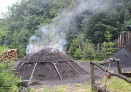 <strong>อ่านเพิ่มเติมเกี่ยวกับ</strong><br>ชีวมวลเชื้อเพลิงลดโลกร้อน ตอนที่ 3:เทคโนโลยีการแปรรูปชีวมวลหรือของเสียให้เป็นเชื้อเพลิง ชีวมวลเชื้อเพลิงลดโลกร้อน ตอนที่ 3:เทคโนโลยีการแปรรูปชีวมวลหรือของเสียให้เป็นเชื้อเพลิง