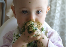 <strong>อ่านเพิ่มเติมเกี่ยวกับ</strong><br>ความเสี่ยงของอาหารมังสวิรัติในทารก ความเสี่ยงของอาหารมังสวิรัติในทารก