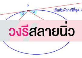 วงรีสลายนิ่ว รูปภาพ 1